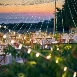 Wedding Photographer Cinematographer Happy Images Cyprus by Nagy Sándor
Professional Photographer & Cinematography, Film maker, фотограф на кипре,
Based in Cyprus, Ayia Napa, Protaras, Larnaca, Limassol
Nagy Sándor – Alexander Photography, фотограф Кипр, Ciprus www.happyimagescyprus.com